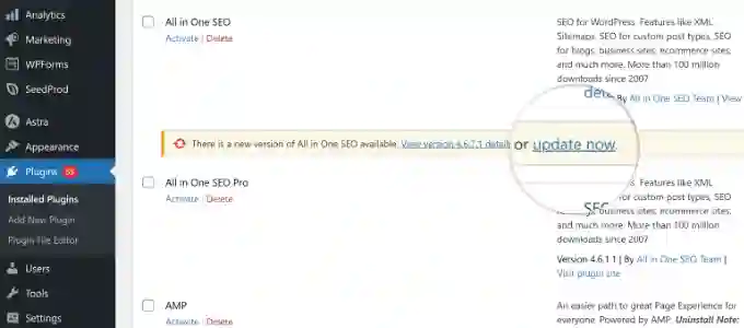 Guida alla Manutenzione WordPress: Ottimizza il Tuo Sito! (2025) 13 Aggiorna i plugin