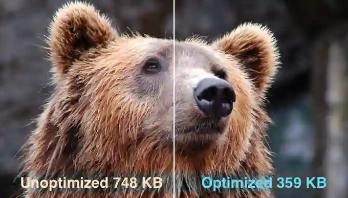Guida alla Manutenzione WordPress: Ottimizza il Tuo Sito! (2025) 17 Immagini ottimizzate e non ottimizzate in WordPress