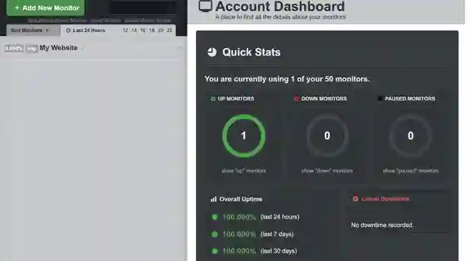 Guida alla Manutenzione WordPress: Ottimizza il Tuo Sito! (2025) 20 Statistiche del dashboard del robot Uptime