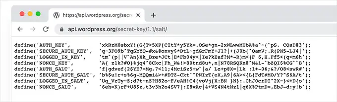 Chiavi di Sicurezza WordPress: Cosa Sono e Come Usarle 10 Chiavi Di Sicurezza WordPress Cosa Sono E Come Usarle