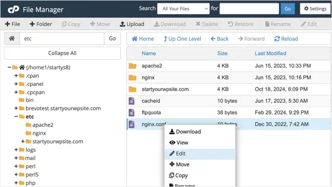 Confronto Web Server Apache Vs Nginx Vs Litespeed Guida 