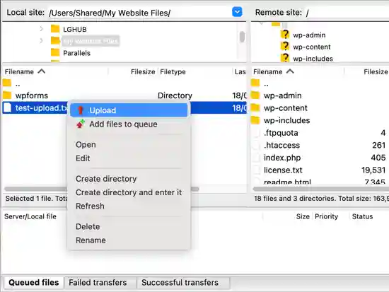 Come Usare FTP WordPress: Guida Facile per Caricare File (Principianti) 21 Usare Ftp WordPress Guida Facile Per Caricare File Principianti