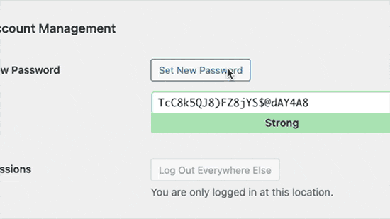 Come Aggiungere un Generatore di Password Complesse in WordPress (Guida Essenziale) 18 Come Aggiungere Un Generatore Di Password Complesse In WordPress Guida Essenziale