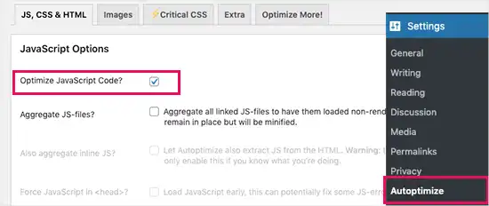 Eliminare Risorse Blocco Rendering WordPress (Guida 2025) 19 Eliminare Risorse Blocco Rendering WordPress Guida 2025
