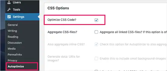 Eliminare Risorse Blocco Rendering WordPress (Guida 2025) 20 Eliminare Risorse Blocco Rendering WordPress Guida 2025
