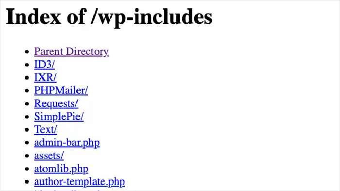 Guida Essenziale Sicurezza WordPress Proteggi Il Tuo Sito Da Hacker 2025 