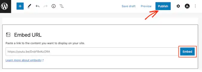 Come Fare l'Offload Media WordPress per Performance TOP! (Guida Essenziale) 53